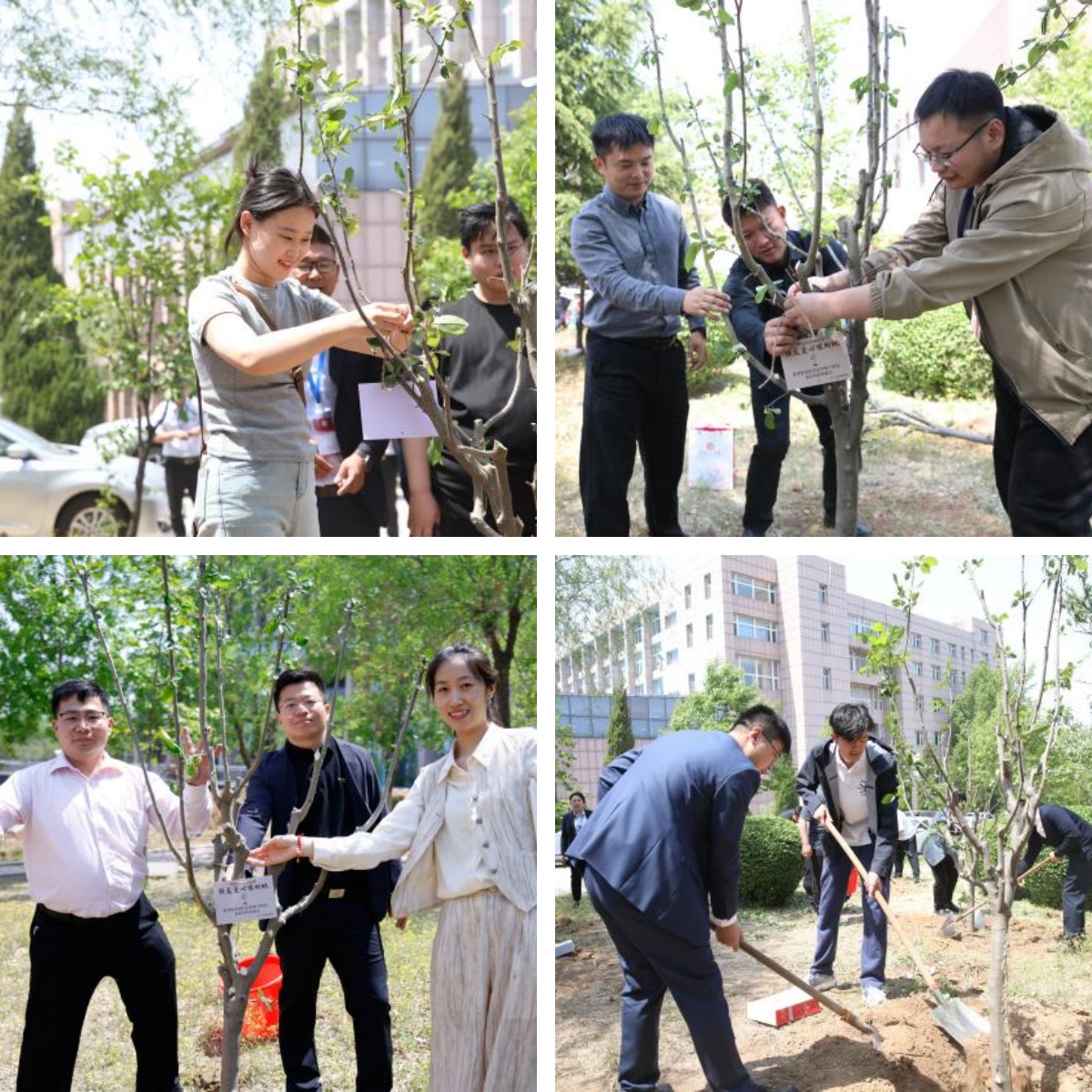 1745802808731468.jpg 2.jpg